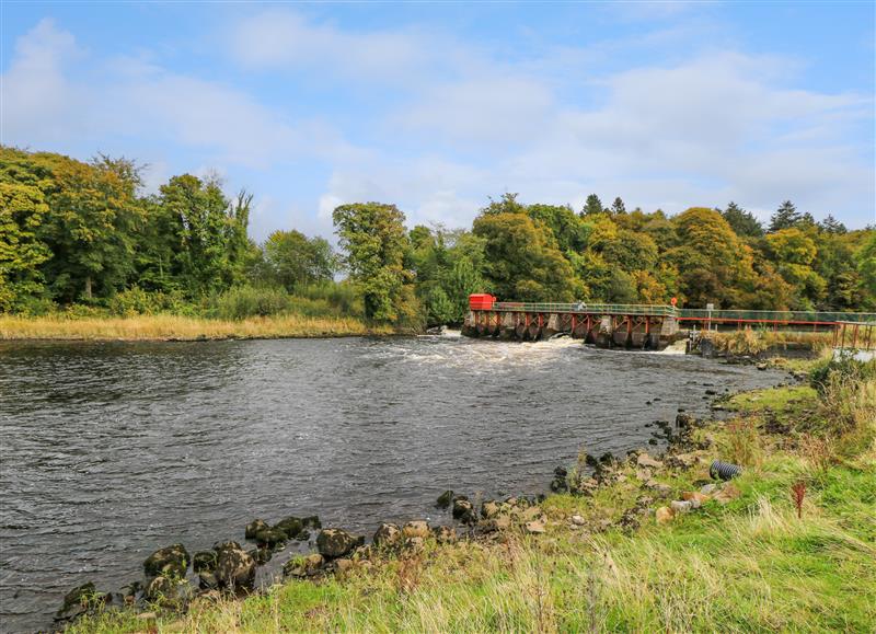 The area around Gort Farm Cottage