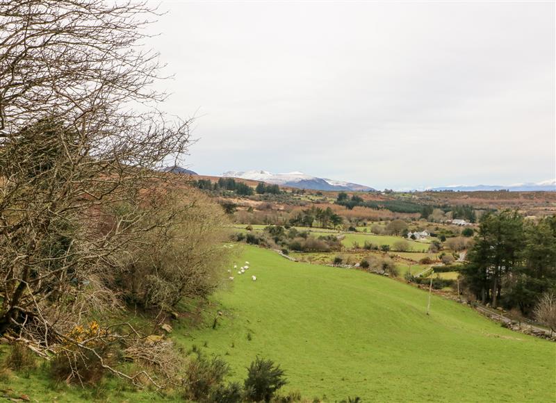 The area around Gortdromakiery (photo 2) at Gortdromakiery, Muckross near Killarney