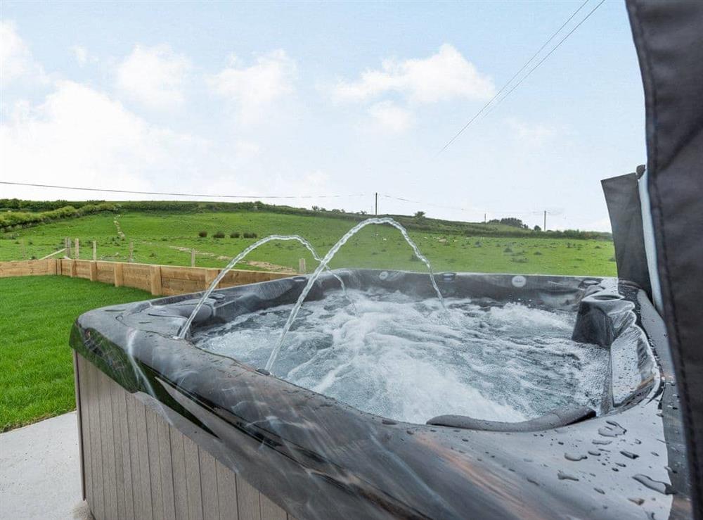 Hot tub (photo 2) at Gorwelon in Aberaeron, Dyfed