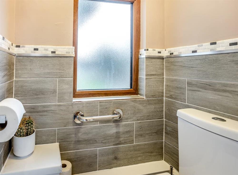 Shower room (photo 2) at Goshawk Lodge in Cwmcarn, Dyfed