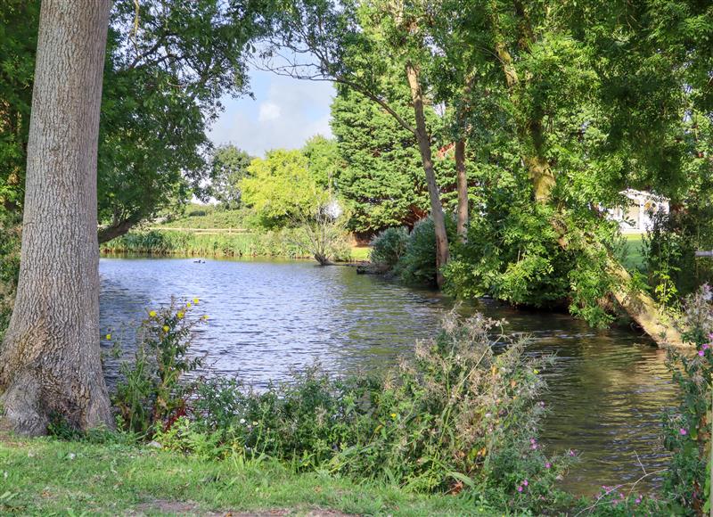 Rural landscape