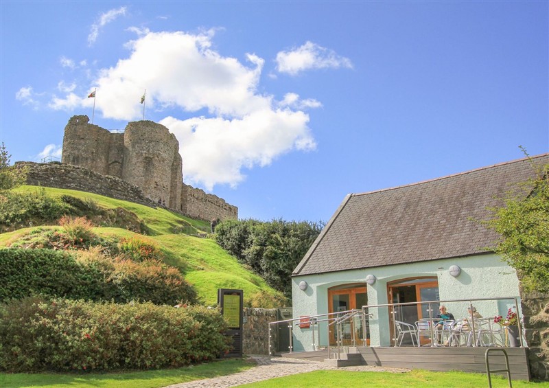 The garden in Gowan Brae at Gowan Brae, Criccieth
