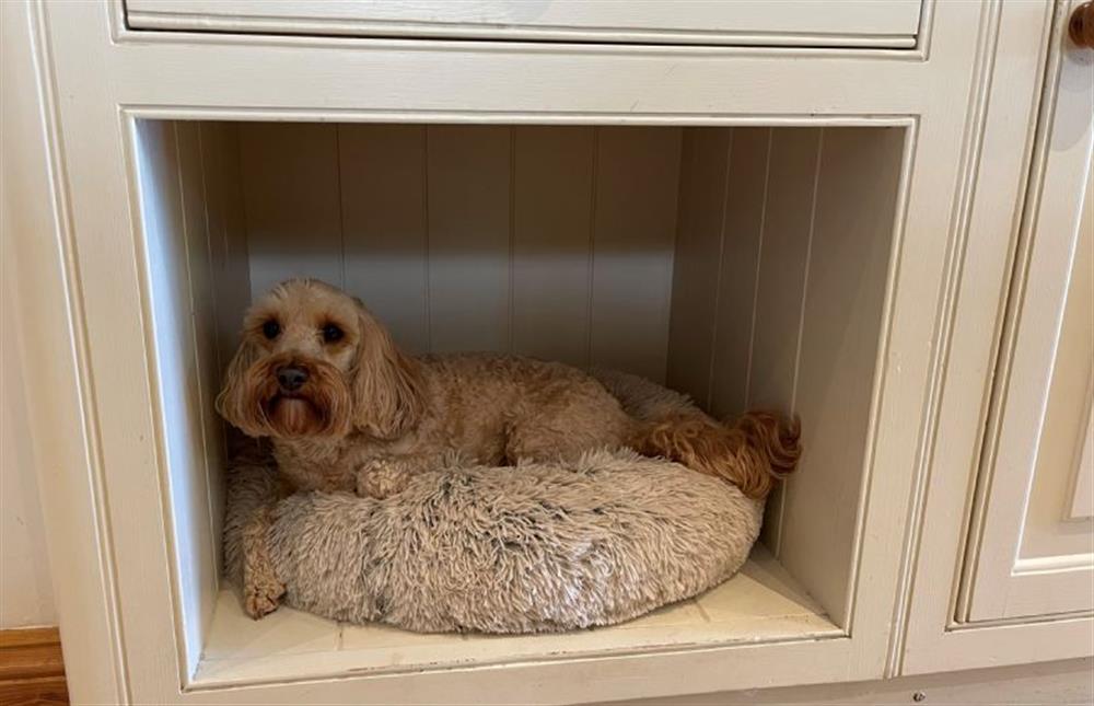 Ground floor: Everyone catered for here (doggy not included!) at Grace Cottage, Heacham near Kings Lynn
