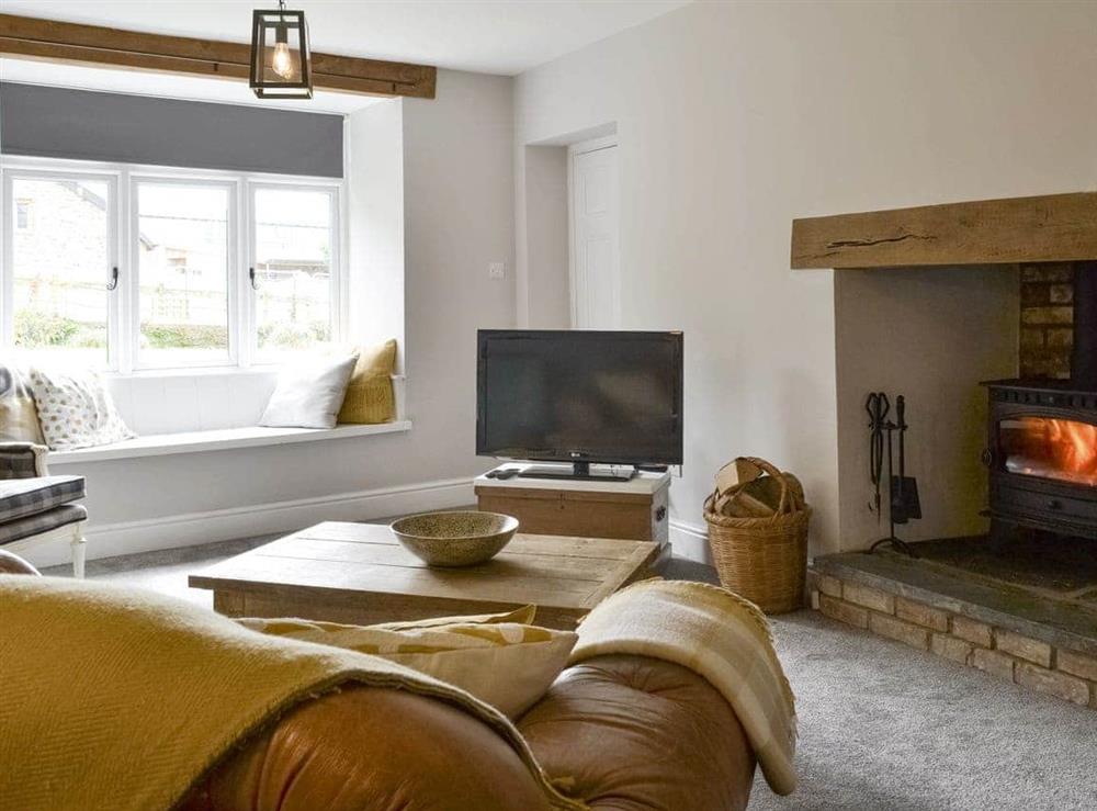 Welcoming living area with wood burner at Grace Cottage in High Bickington, near Great Torrington, Devon
