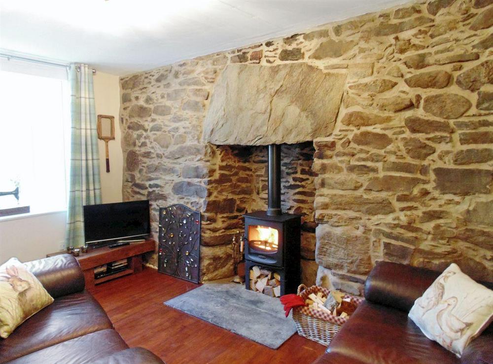 Lounge with wood burner at Gracedieu in Killin, Perthshire