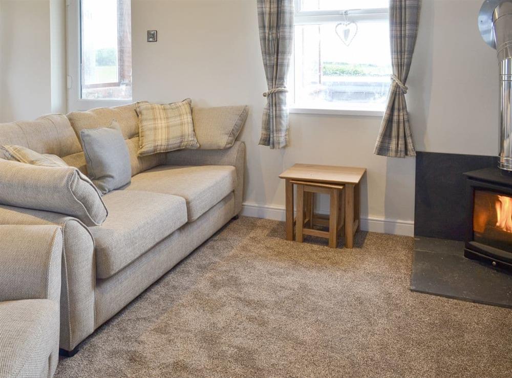 Comfortable living area with wood burner at Granary Cottage in Bempton, near Bridlington, North Humberside