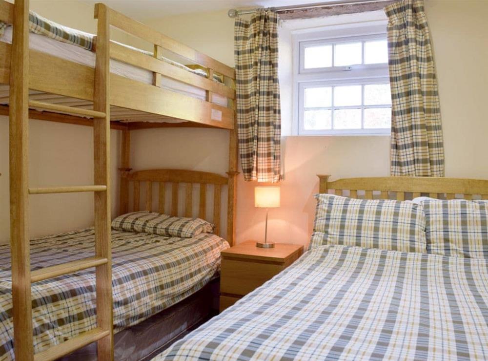 bunk bedroom with an additional single bed at Granary Cottage in Ivy Court Cottages, Llys-y-Fran, Dyfed