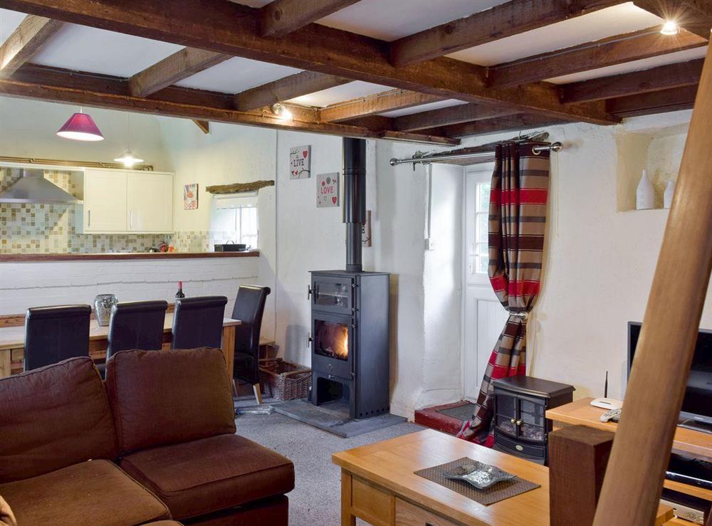 Open aspect lounge / diner / kitchen with traditional wooden beamed ceiling at Granary Cottage in Ivy Court Cottages, Llys-y-Fran, Dyfed