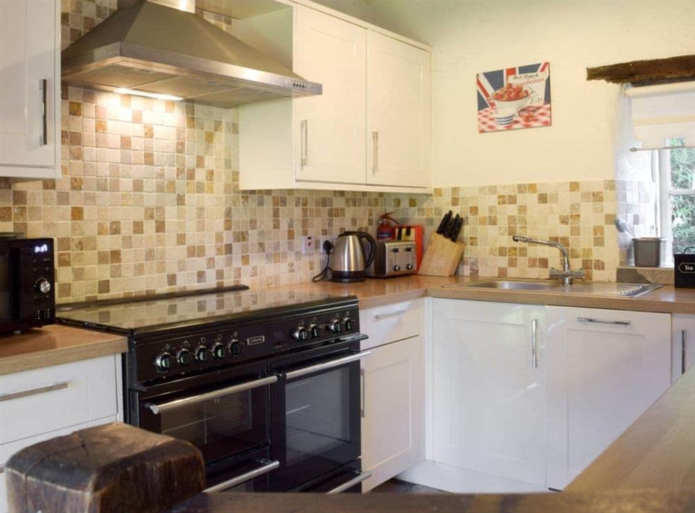 Well equipped kitchen area at Granary Cottage in Ivy Court Cottages, Llys-y-Fran, Dyfed
