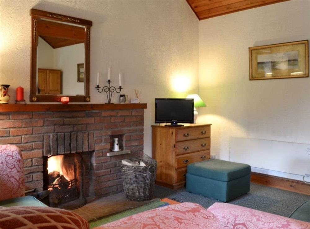 Comfortable living room with a cosy open fire at Granary Cottage in Ulrome, near Hornsea, North Humberside