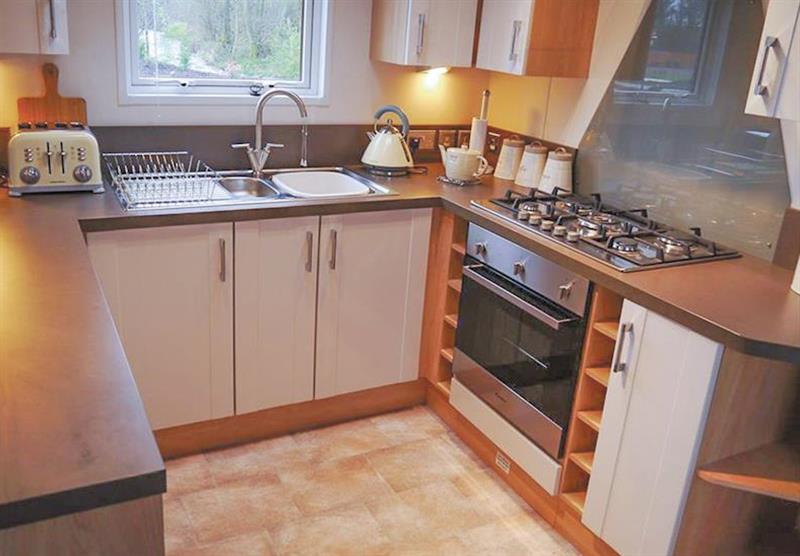 The kitchen in a Luxury Lodge at Grand Eagles Lodges in Nether Coul, Auchterarder