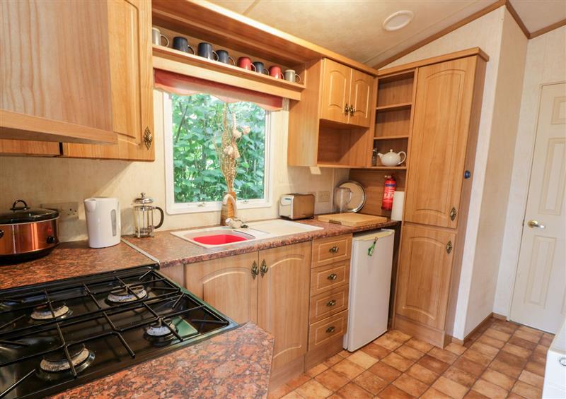Kitchen at Grange Caravan, Llangollen