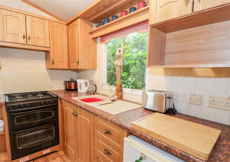 This is the kitchen at Grange Caravan, Llangollen