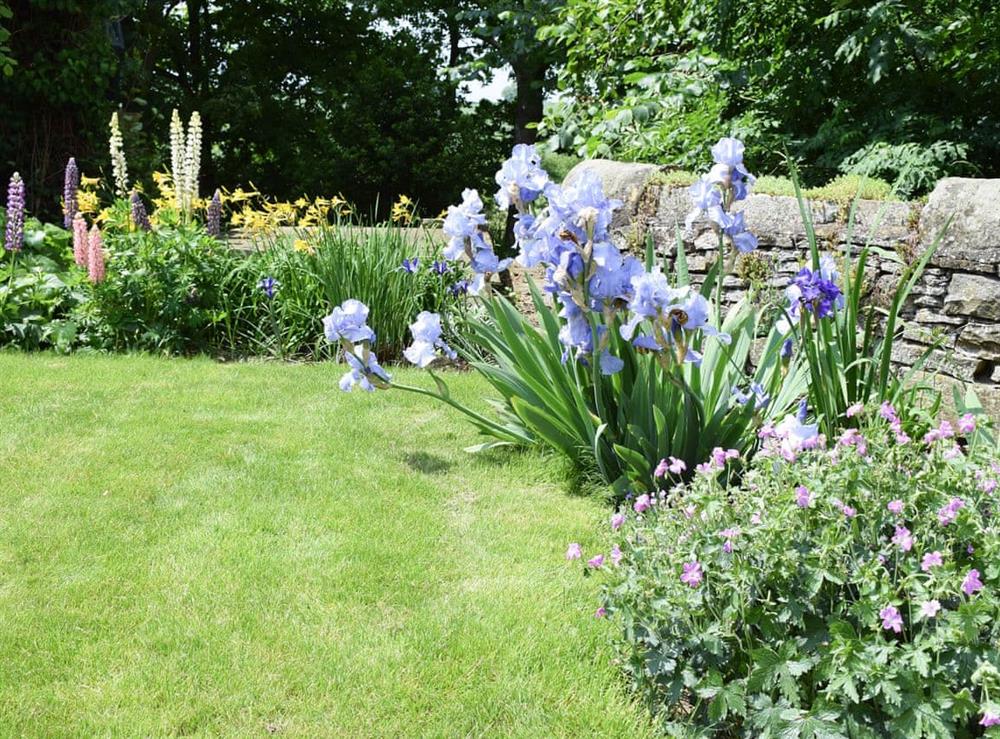 Garden (photo 2) at Grange Cottage in Ovington, near Barnard Castle, North Yorkshire