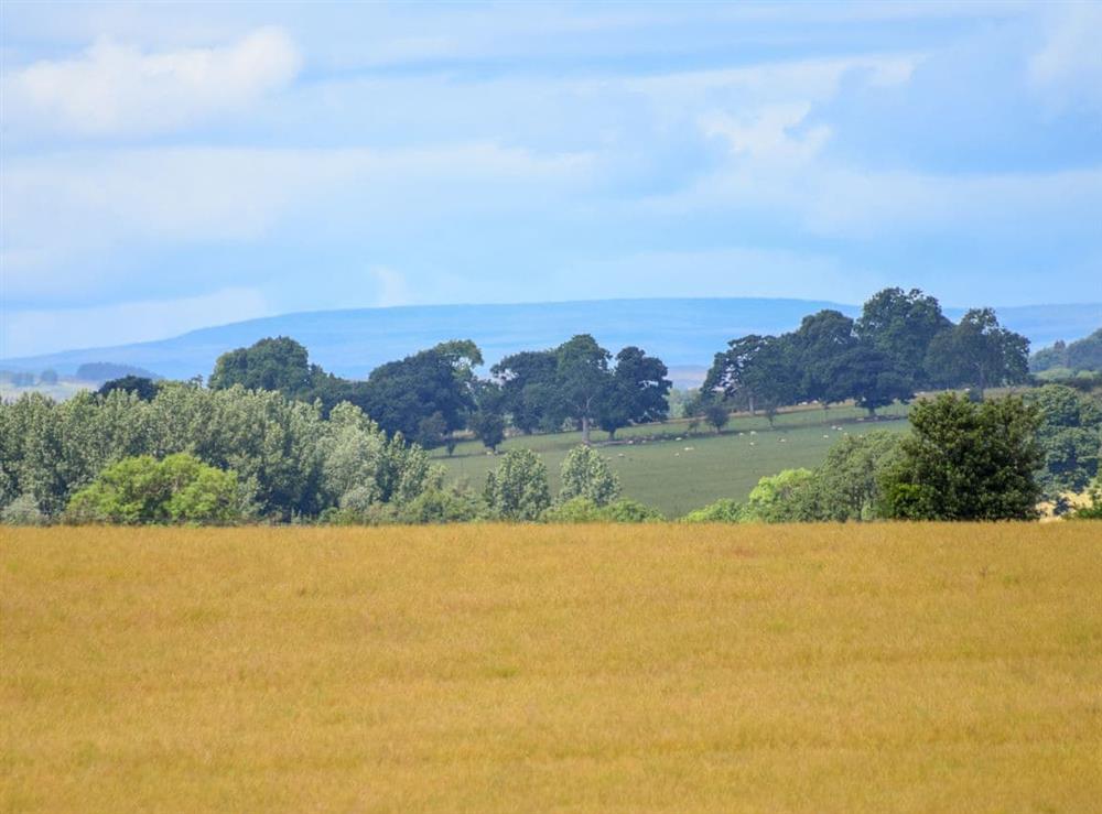 View at Grange Cottage in Ovington, near Barnard Castle, North Yorkshire