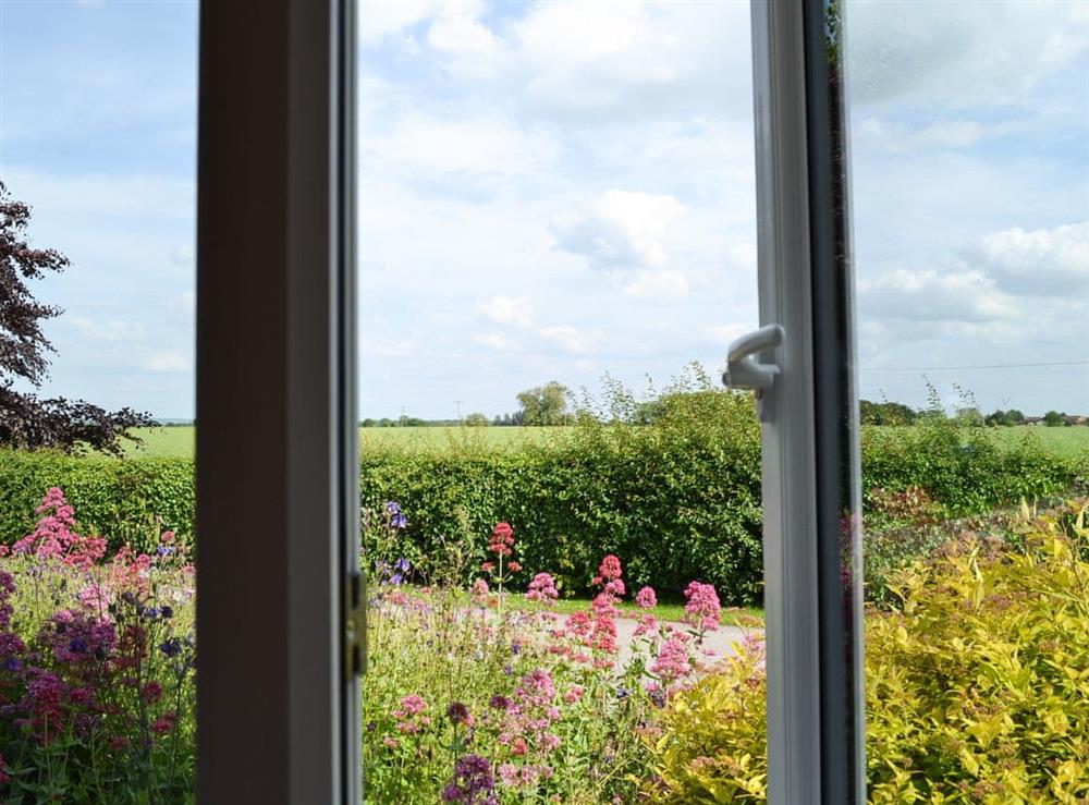View from the window at Portington Lodge, 