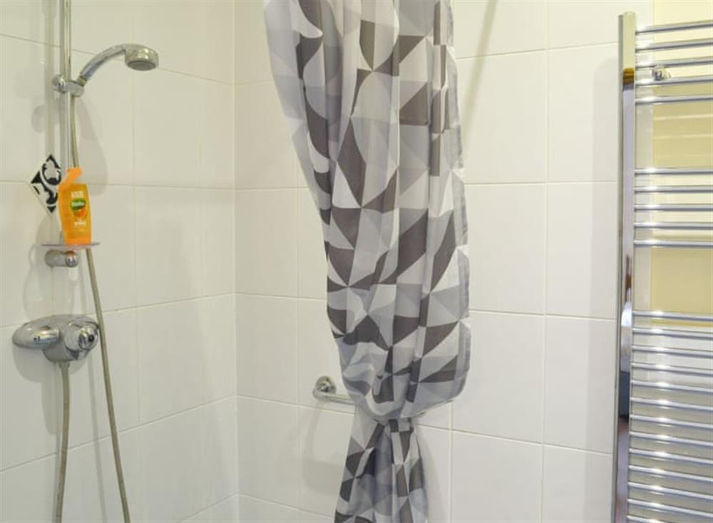 En-suite shower at Ash Cottage, 