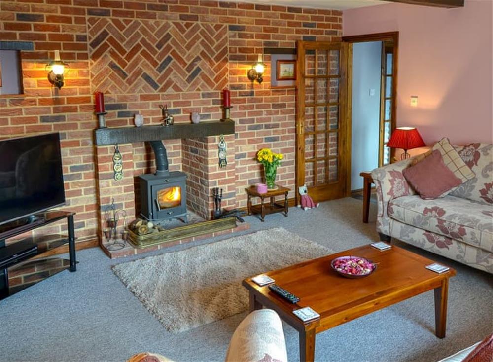 Living room 1 with wood burner at Grange Farmhouse in Hainford, near Aylsham, Norfolk