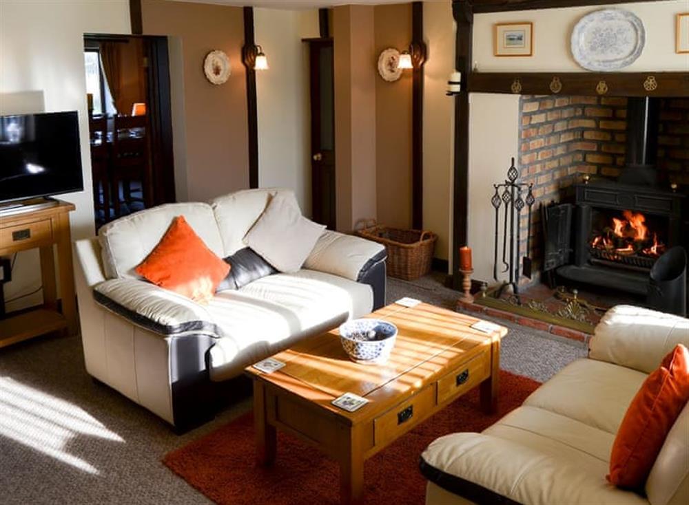 Living room 2 with wood burner (photo 2) at Grange Farmhouse in Hainford, near Aylsham, Norfolk