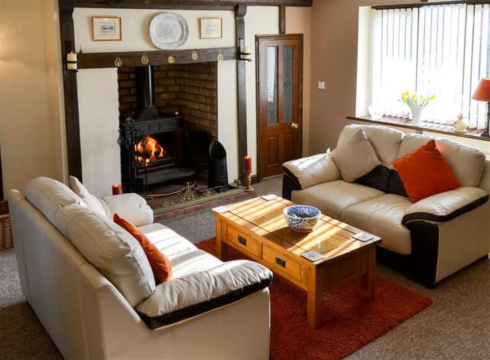 Living room 2 with wood burner at Grange Farmhouse in Hainford, near Aylsham, Norfolk