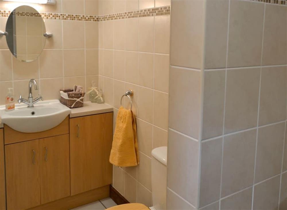 Shower room at Grange Farmhouse in Hainford, near Aylsham, Norfolk