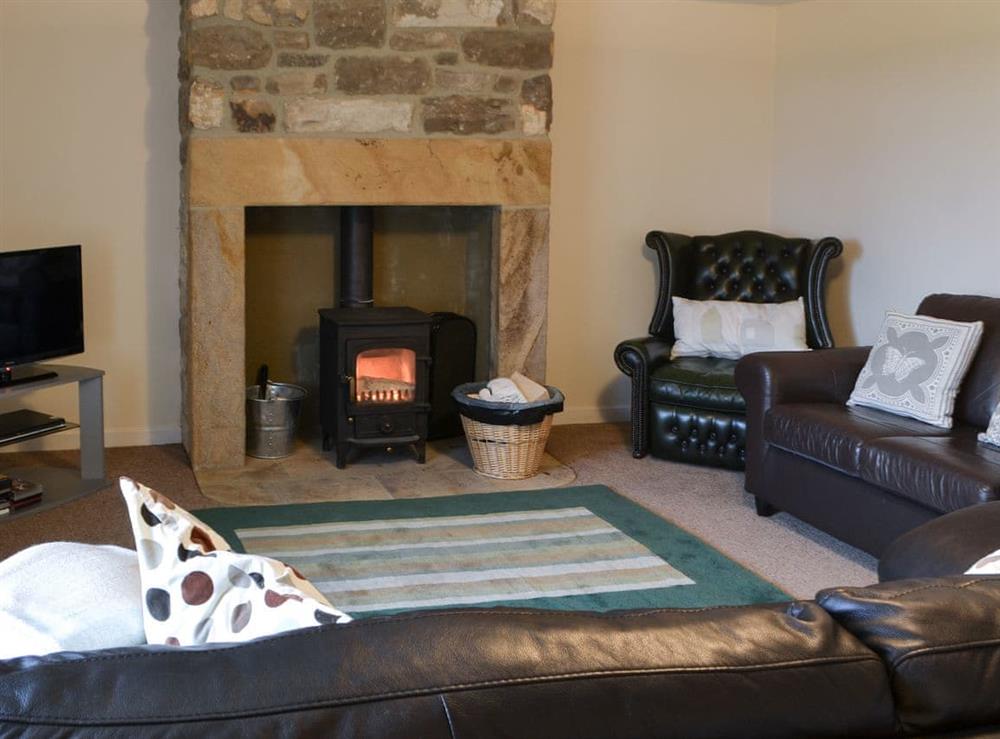 Cosy living room with wood burner at Grangemoor Barn in Scots Gap, near Morpeth, Northumberland