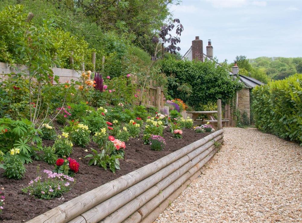 Meticulously maintained garden area at Grapevine in Branscombe, Devon