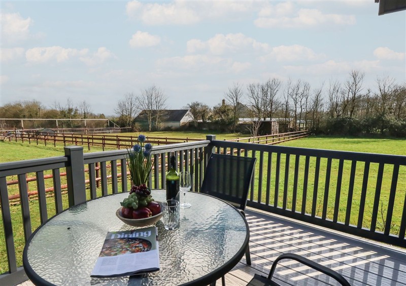 The garden in Grass Roots at Grass Roots, Henstridge near Stalbridge