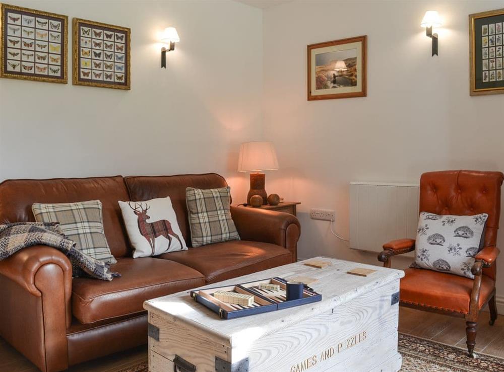 Cosy living room at Grattan Cottage, 