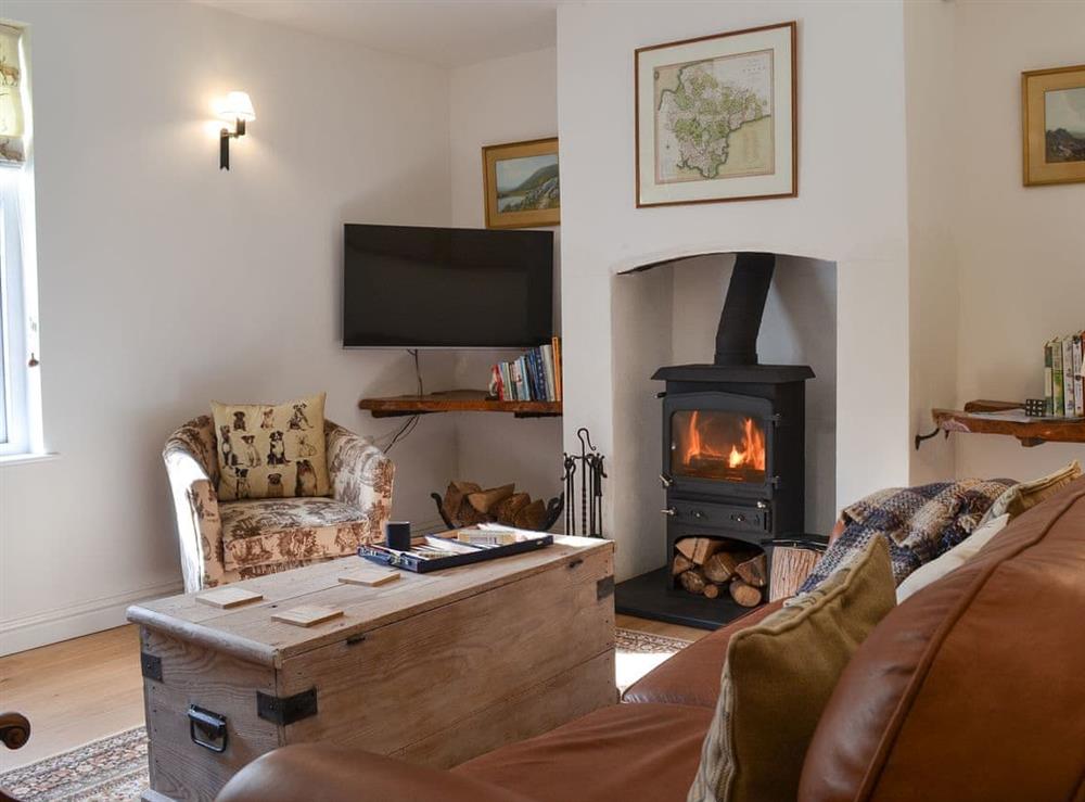 Living room with wood burner at Grattan Cottage, 