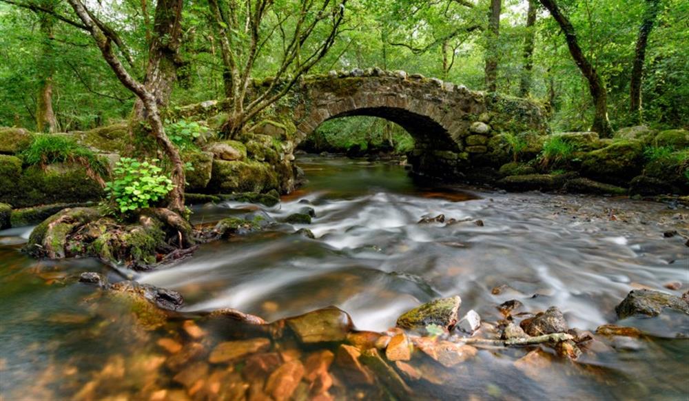 The River Bovey running through Hisley Woods within the Dartmoor National Park. at Great Palstone Barn in South Brent