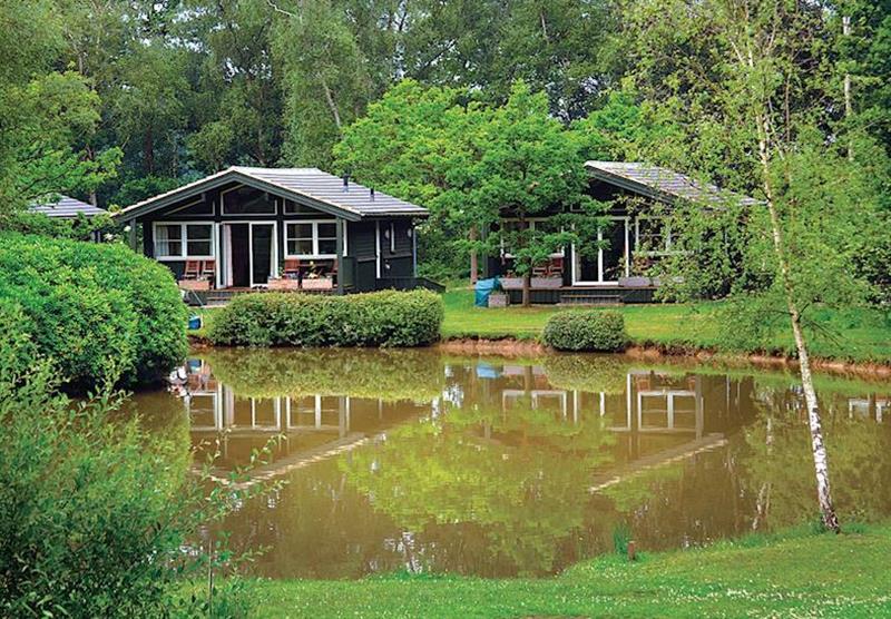 The park setting at Great Wood Lodges in Flaxton, York