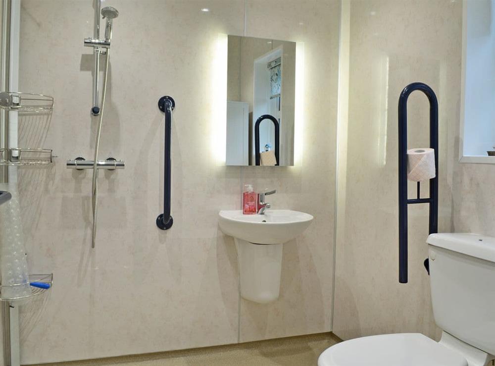 Spacious en-suite wet room with shower at Greenacres Rest, 