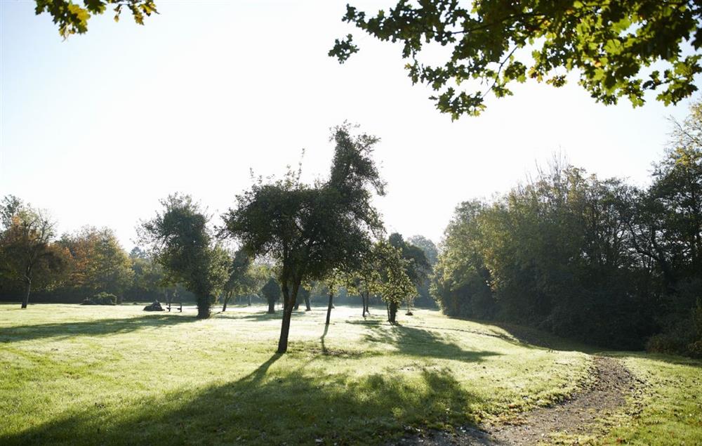 Beautiful countryside walks on your doorstep at Green Gables, Eardisley