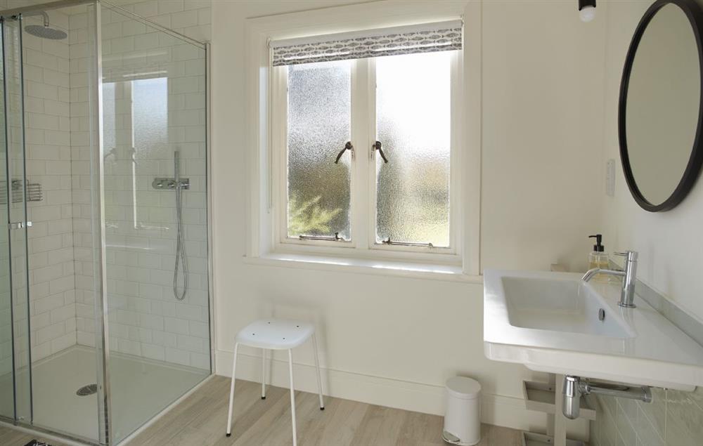 En-suite bathroom with shower at Green Gables, Eardisley