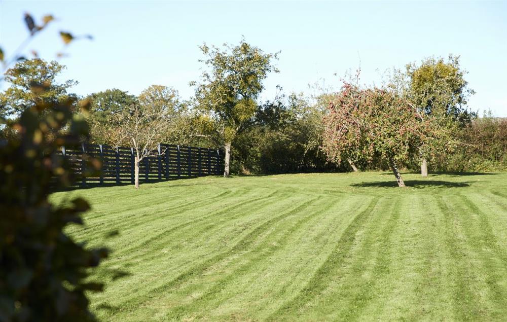 The extensive garden with apple trees at Green Gables at Green Gables, Eardisley