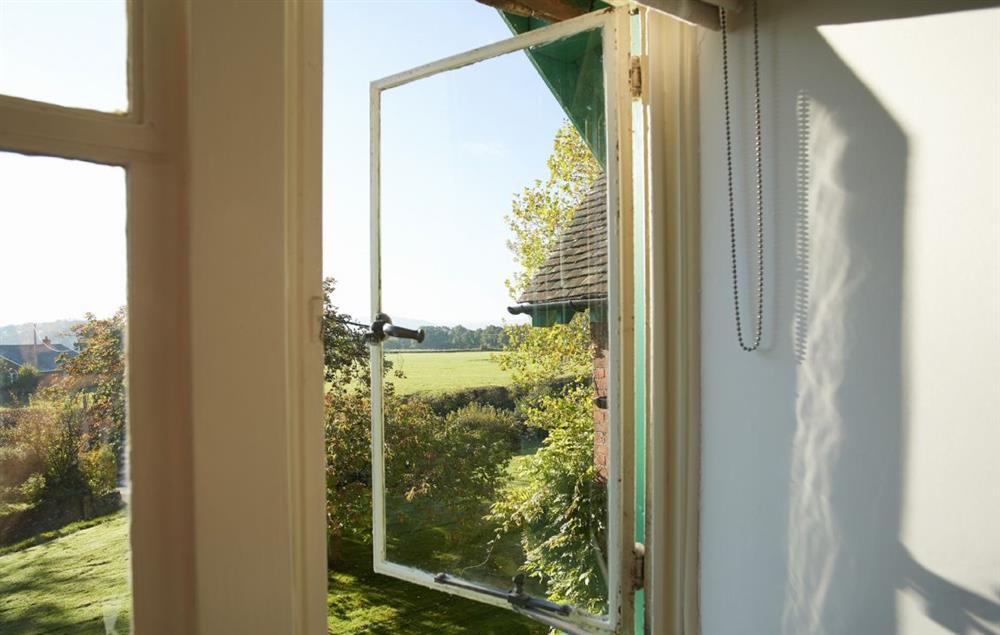 View of the lush countryside from your window