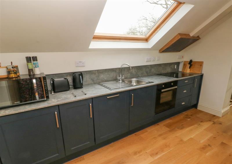 This is the kitchen at Green Grove Barn, Peniel near Carmarthen