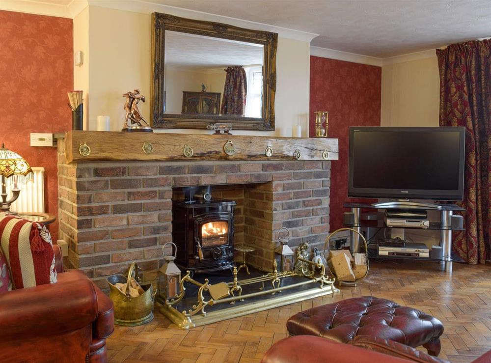 Appealing living room with wood burner at Green Haven in Narberth, Pembrokeshire, Dyfed