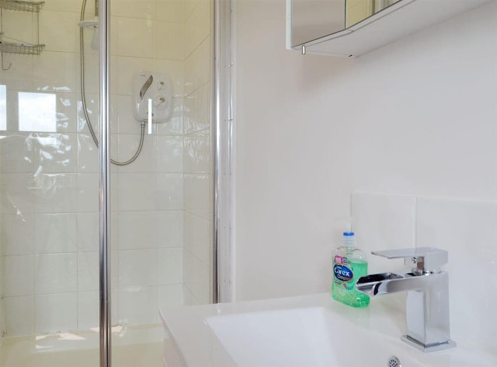 En-suite shower room (photo 2) at Green Lane Cottage in Aberhafesp, near Newtown, Powys