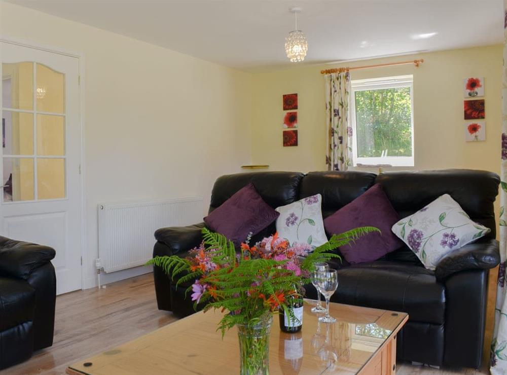 Living room (photo 3) at Green Valley Retreat in Holsworthy, Devon