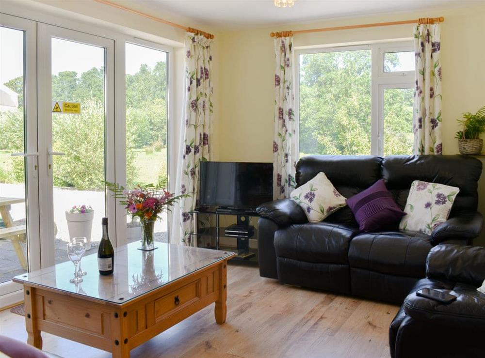 Living room at Green Valley Retreat in Holsworthy, Devon