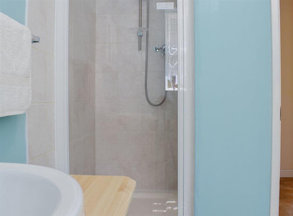 Shower room (photo 2) at Green Valley Retreat in Holsworthy, Devon