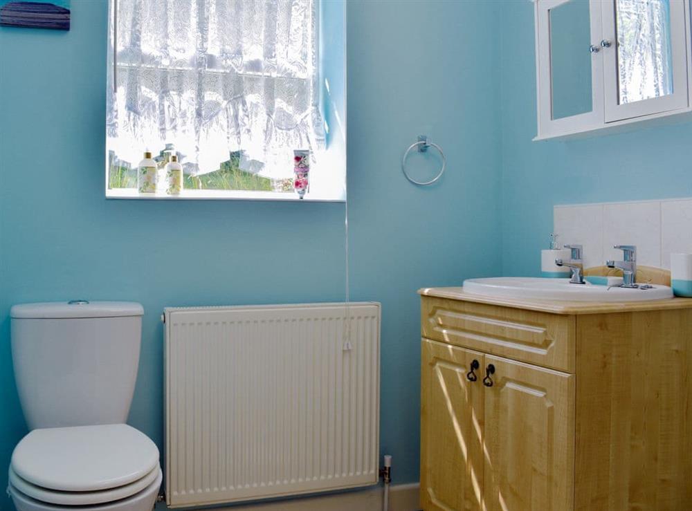 Shower room at Green Valley Retreat in Holsworthy, Devon