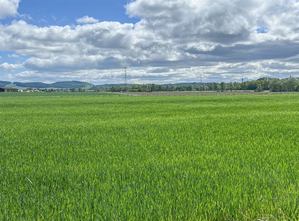 Surrounding area at Greenacres in Perth, Perthshire