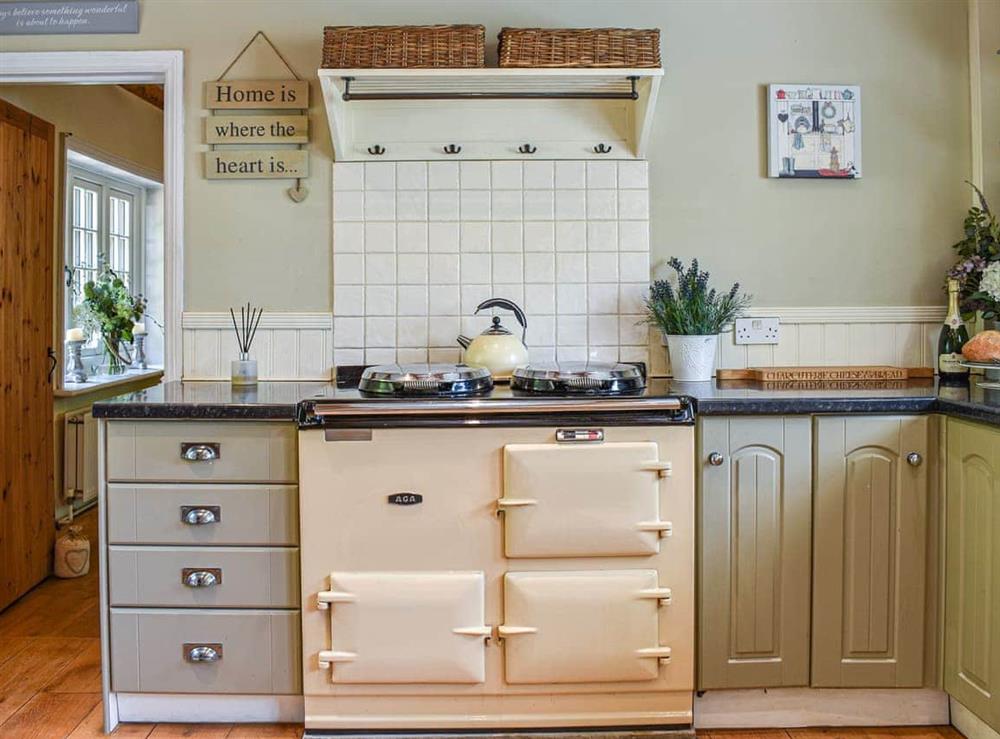 Kitchen at Greenbank Cottage in Burley, Hampshire
