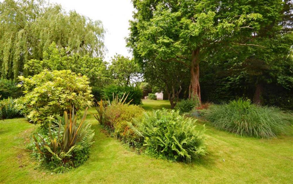 Garden at Greencroft Annexe in Lymington