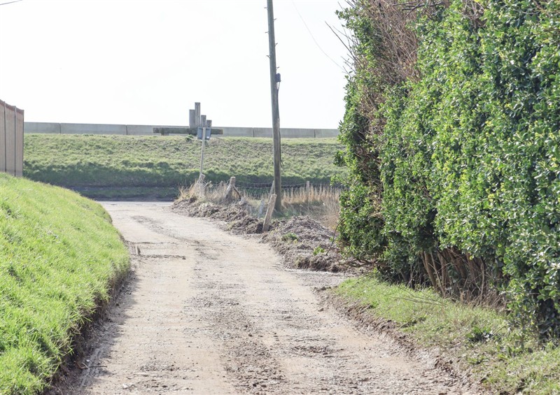 The garden (photo 2) at Greengates, Camber