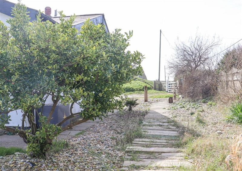 The garden at Greengates, Camber
