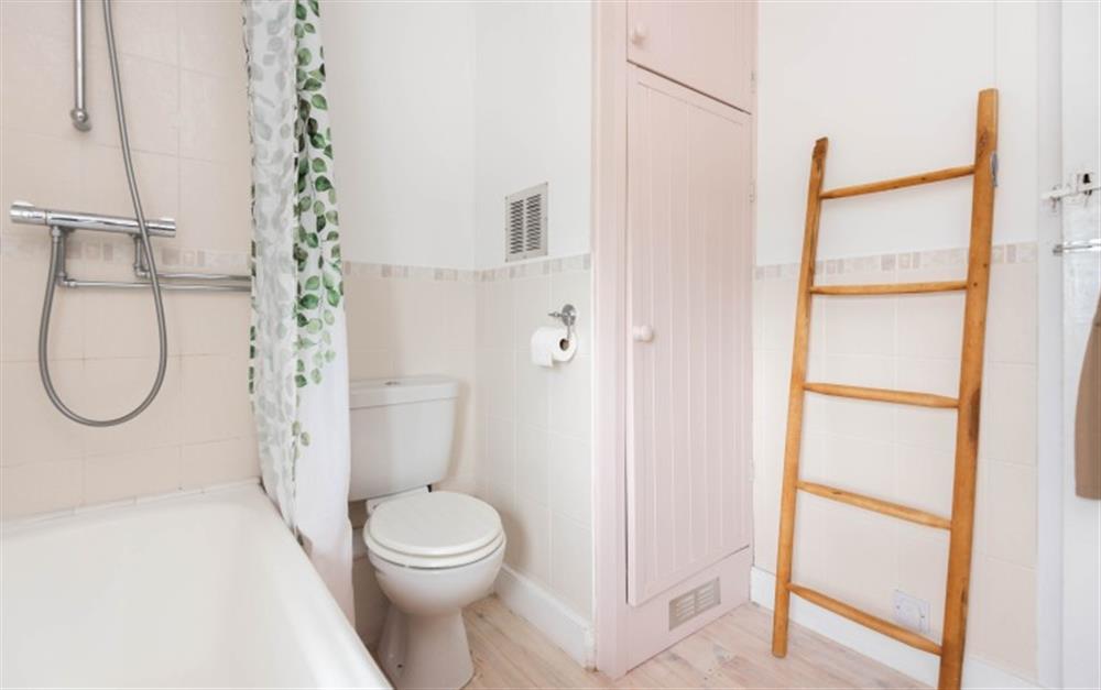 This is the bathroom at Greenhill Cottage in East Allington